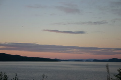Coastline Purples
