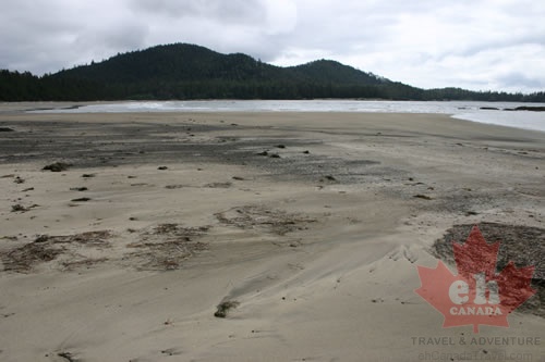 beach 009.jpg