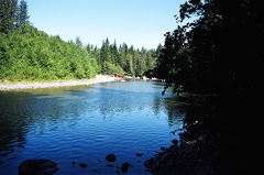 Oyster River