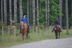 Horseback Riding