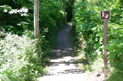 River Trail