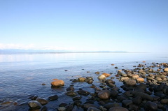 Rocky Beach