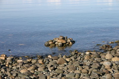 Rock Art