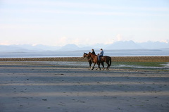Riding Horses