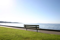 Bench