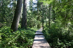 Boardwalk Trail