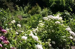 Flower Gardens