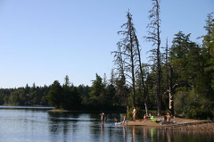 Swimming