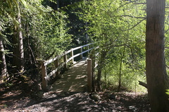 Hiking Trail