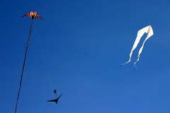 Kite Flying