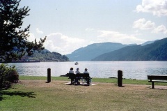 Viewing Bench