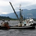 Tug Boat