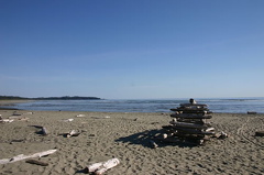 Log Castle
