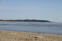 Beach Views