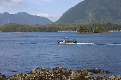 Tofino Harbour
