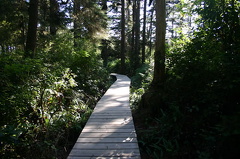 Boardwalk  Trail