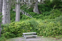 Hidden Trail