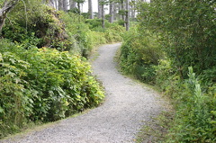 Wild Pacific Trail