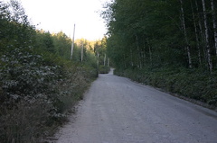 Backcountry Roads