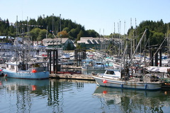 Docks