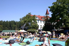 Crowds