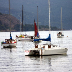 South Cowichan