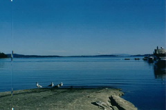 Boat Launch