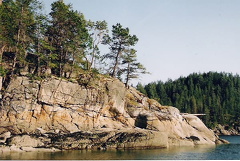 Rocky Shoreline