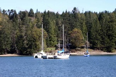 Sailboats