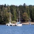 Sailboats