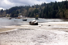 Low Tide