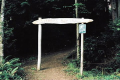 Sturdies Bay Trail