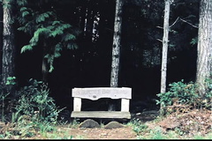 Hiking Bench