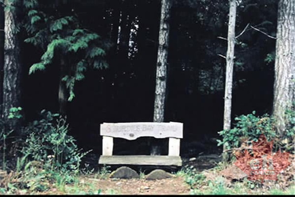 Hiking Bench