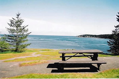 Picnicking
