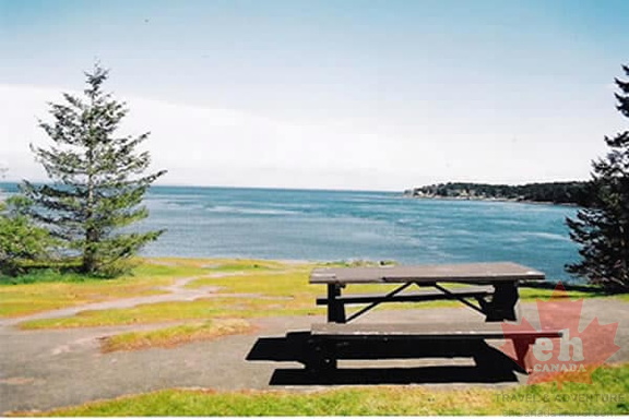 Picnicking
