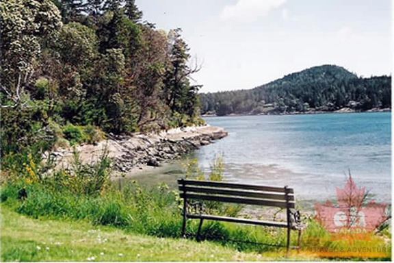 Sightseeing Bench