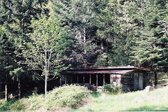 Old Building