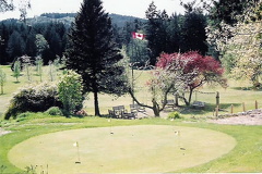 Golfing
