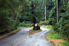 Galiano Roads