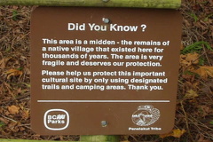 Shell Midden
