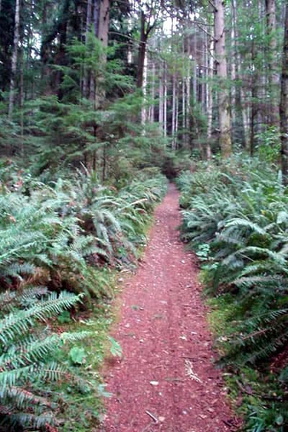 Hiking Trail