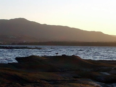 Descanso Regional Park