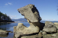 Sculptured Sandstone Rock