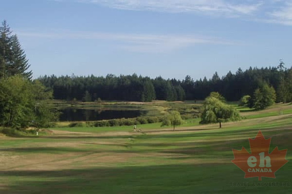 Fairway