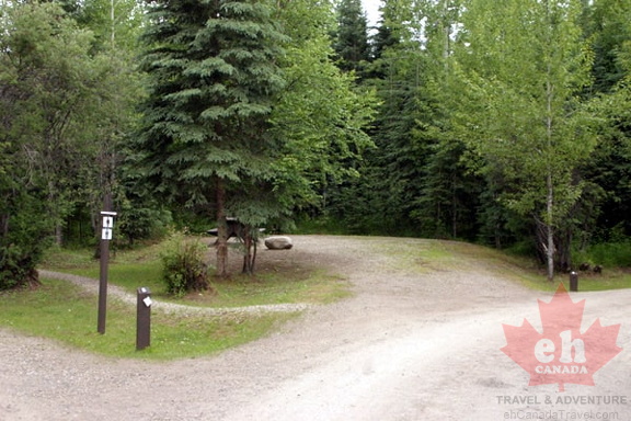 Entrance Road
