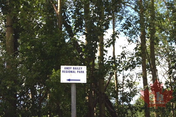 directional-sign002