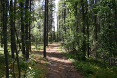 trail 002