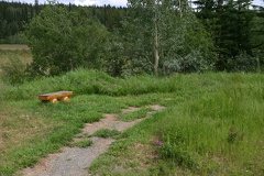 trail.jpg