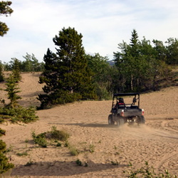 Carcross Desert